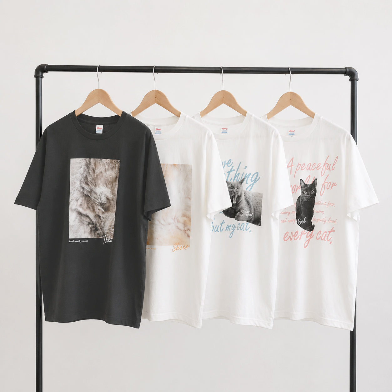 Only Meow