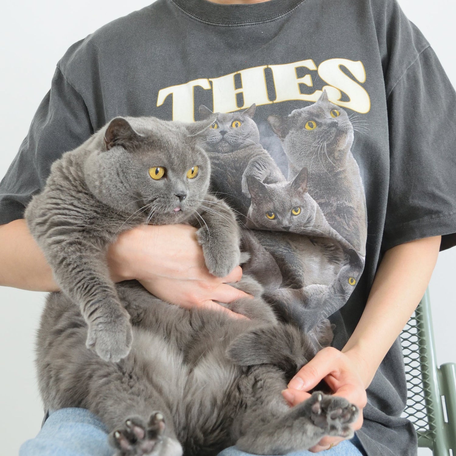 テスさんアイテム