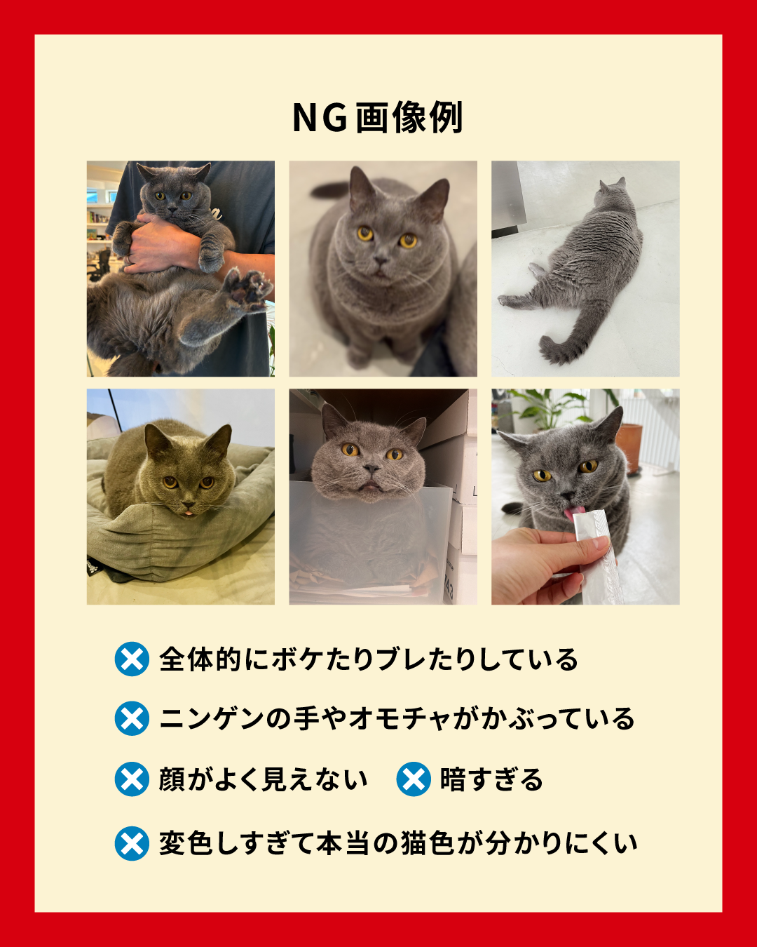 オーダー前にご確認ください