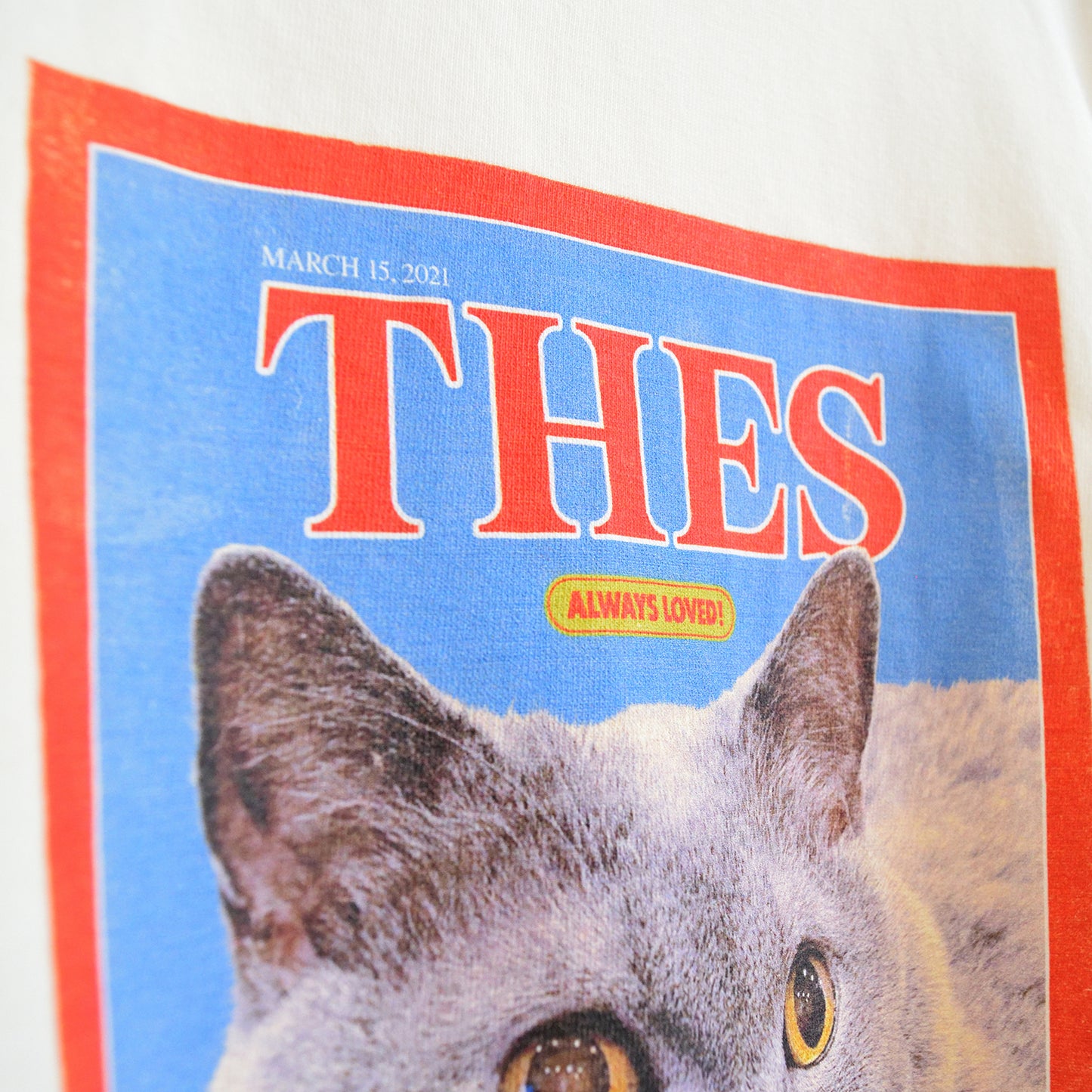 Cat TIME