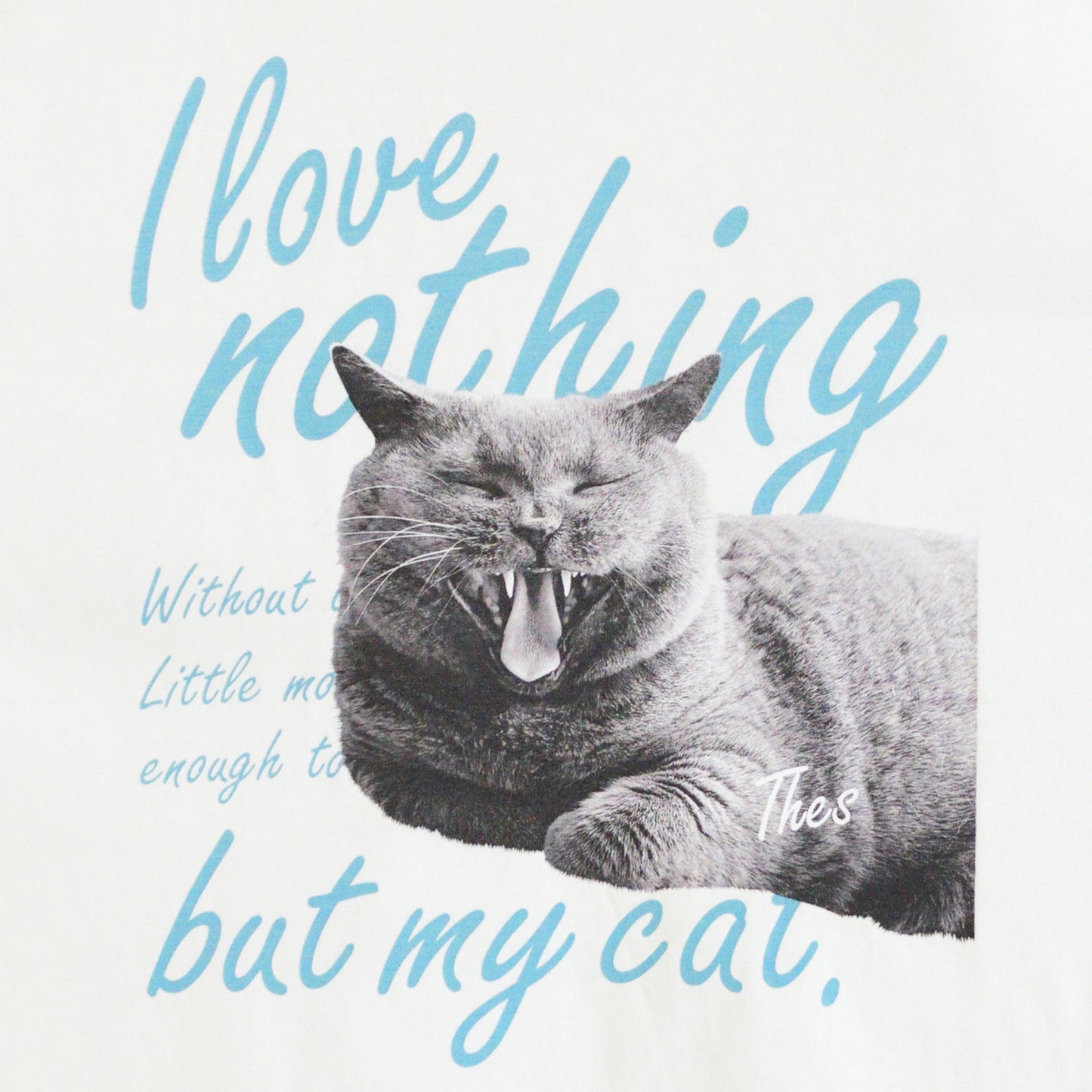 MY CAT