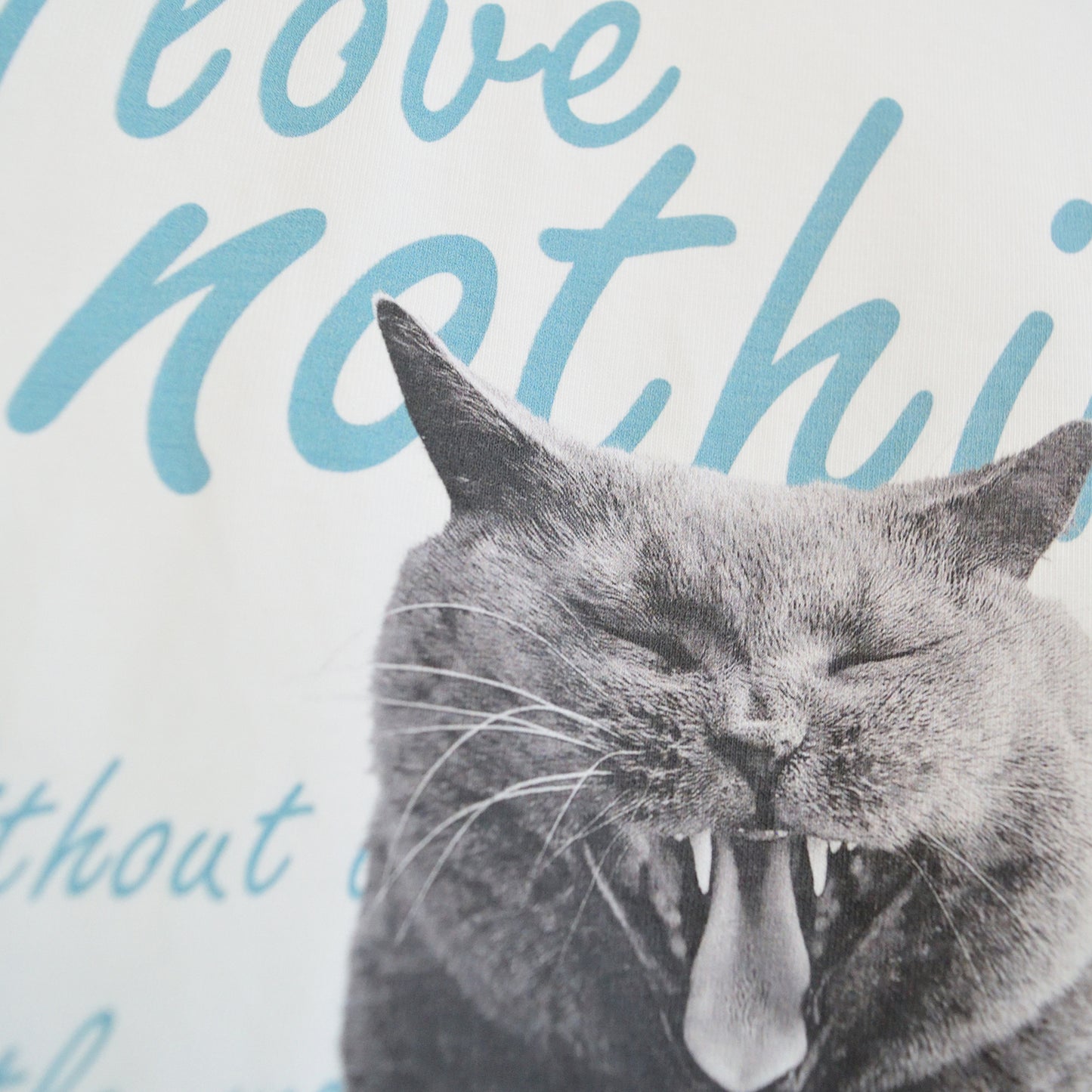 MY CAT
