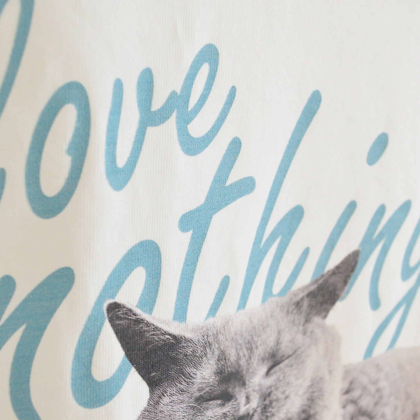 MY CAT