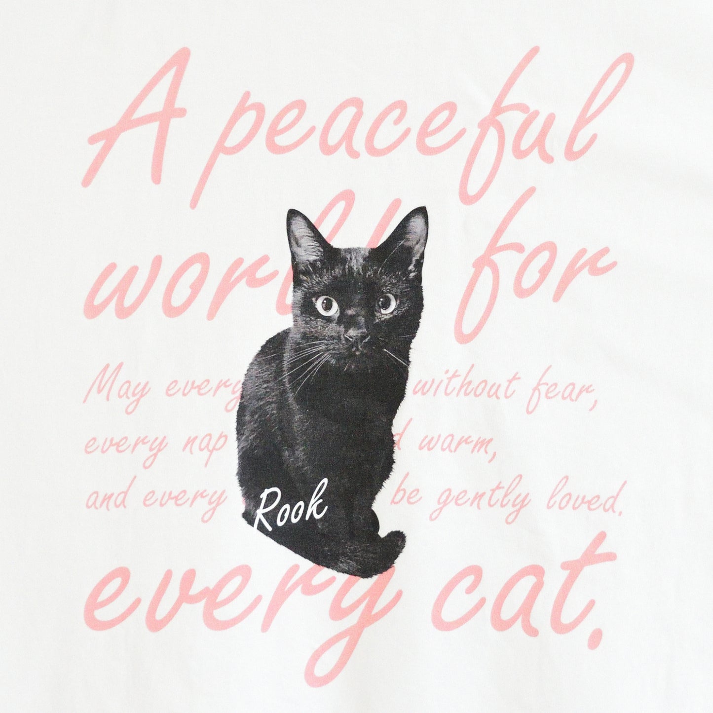 EVERY CAT