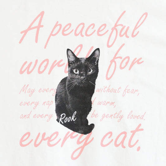 EVERY CAT