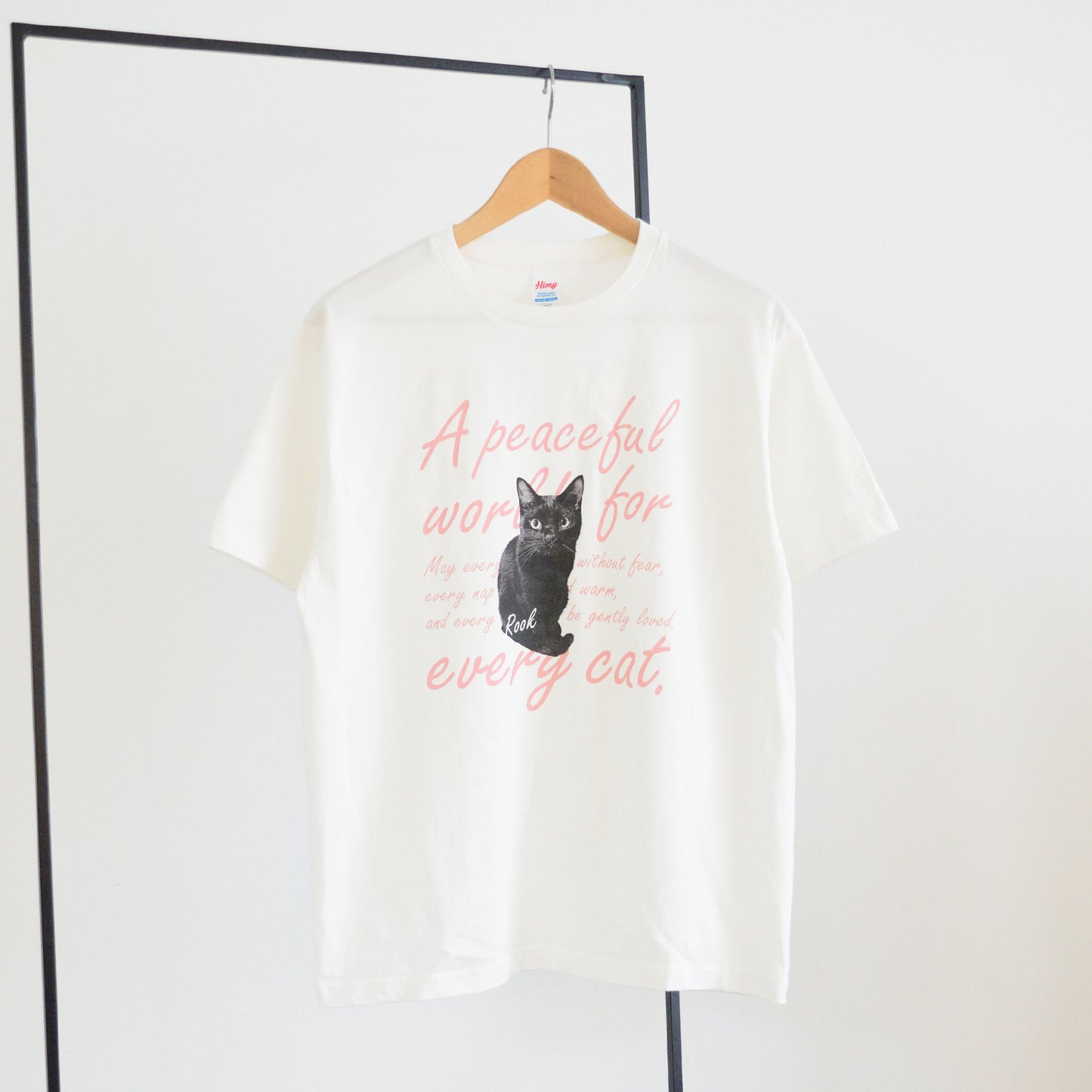 EVERY CAT