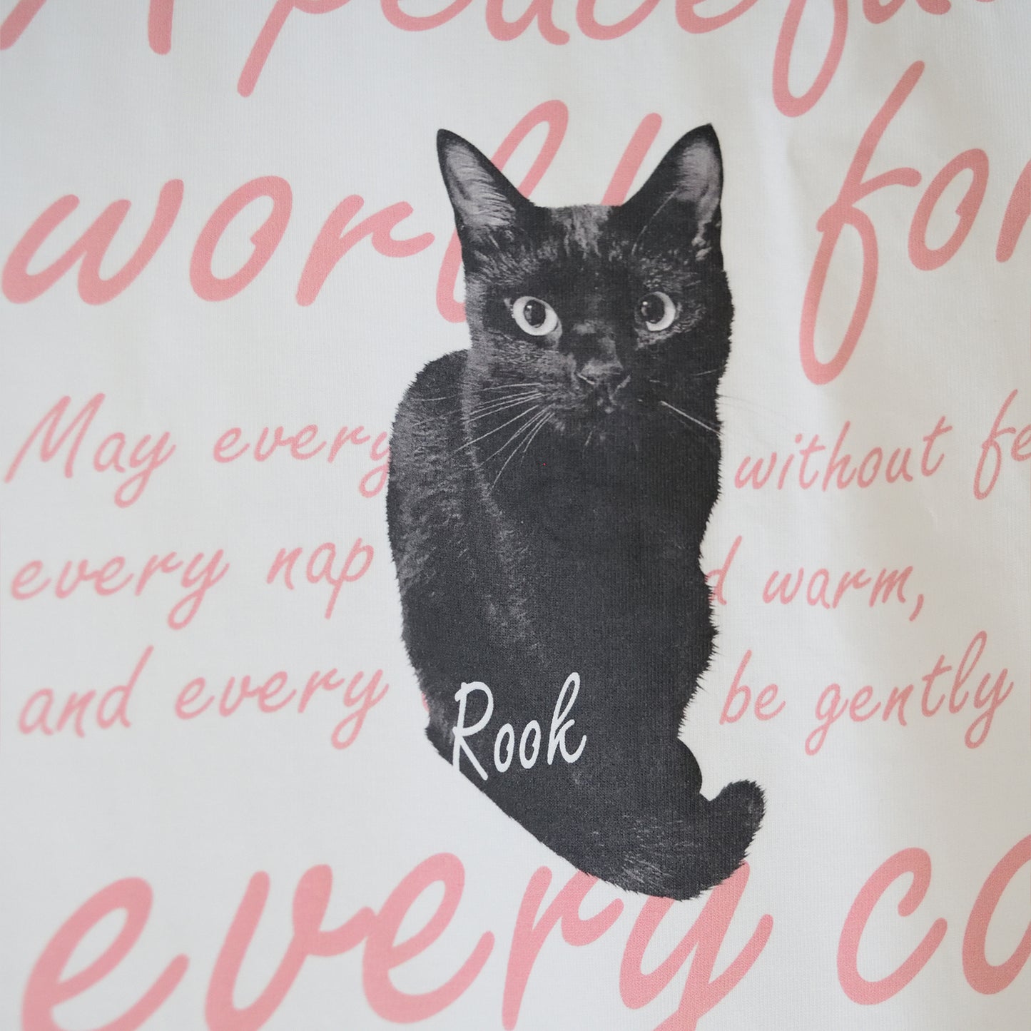 EVERY CAT