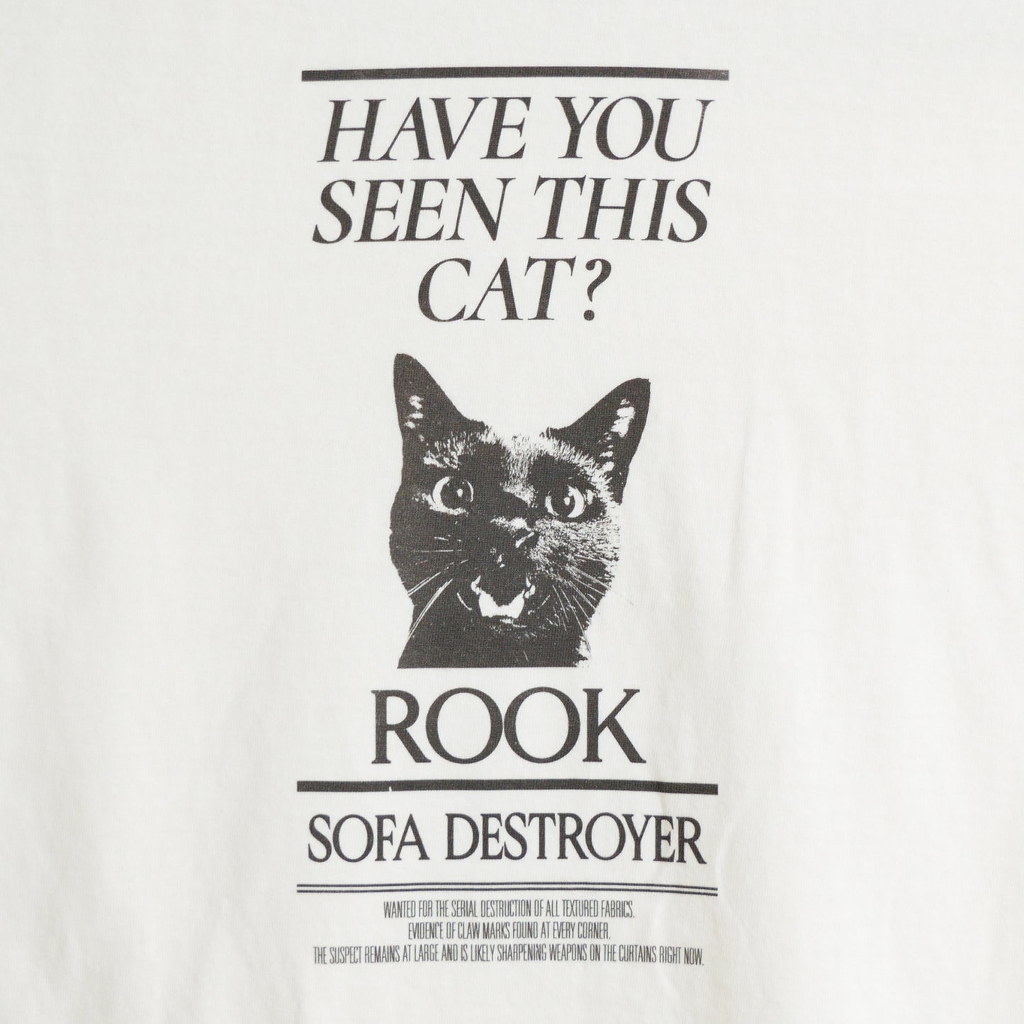 Wanted / Sofa Destroyer