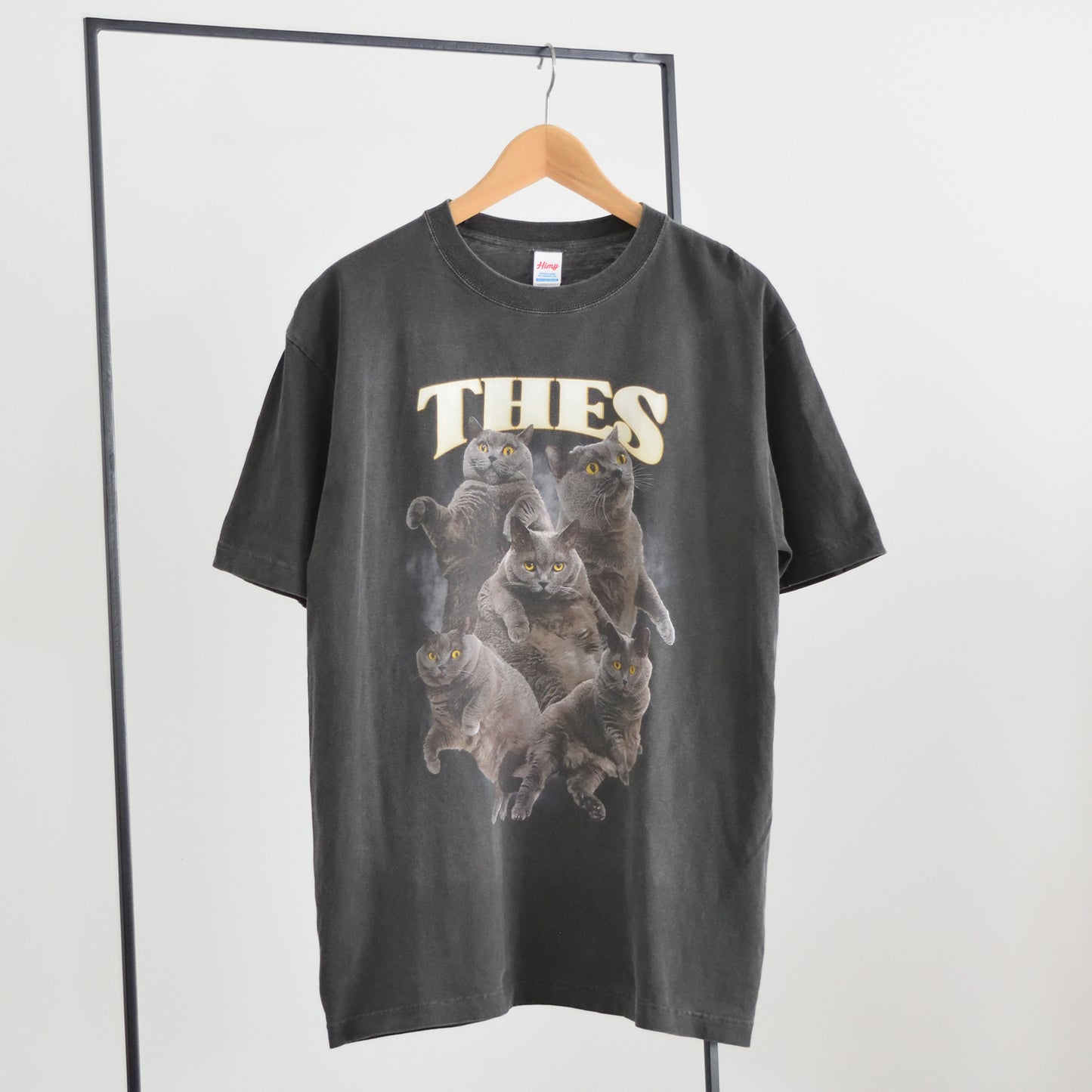 テス Tシャツ（Misty Haze）