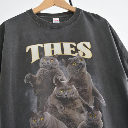 テス Tシャツ（Misty Haze）