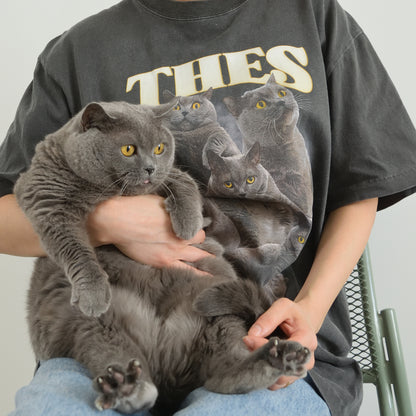 テス Tシャツ（Misty Haze）